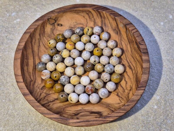 Koralle, versteinert - Kugeln 8mm