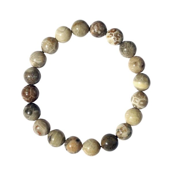 Koralle, versteinert - Armband mit 8mm-Perlen