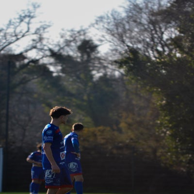dsc_0147-standard-hu7aa4.jpg