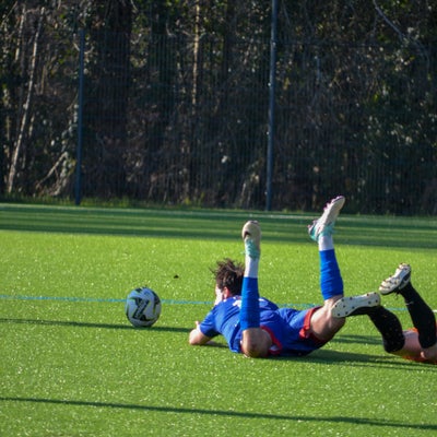 dsc_0266-standard.jpg