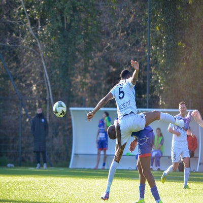 dsc_0390-standard.jpg