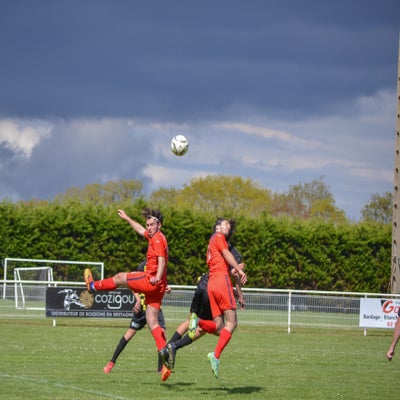 dsc_0610-standard-7zhl22.jpg