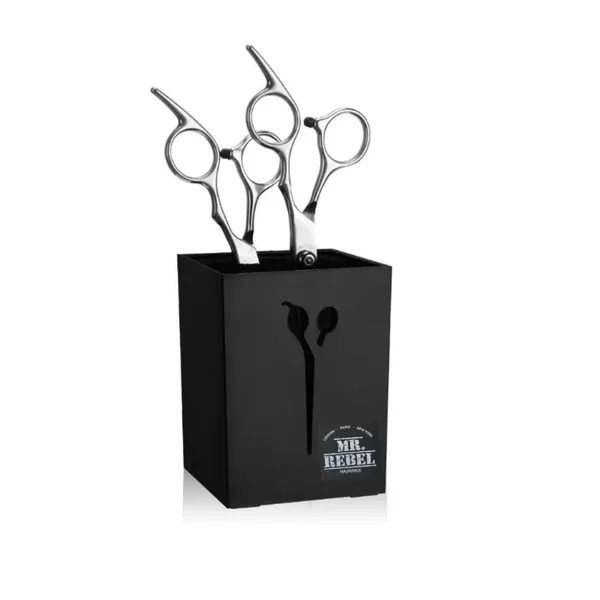 Mr.Rebel Scharenhouder