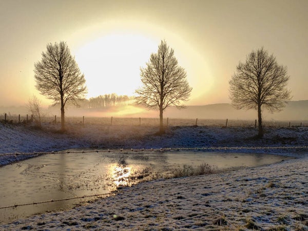 MIJNGazet Jaarkalender 2026