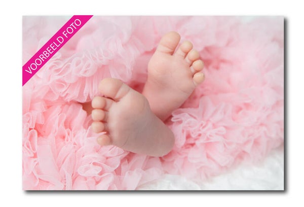 Foto afdruk 10x15 cm