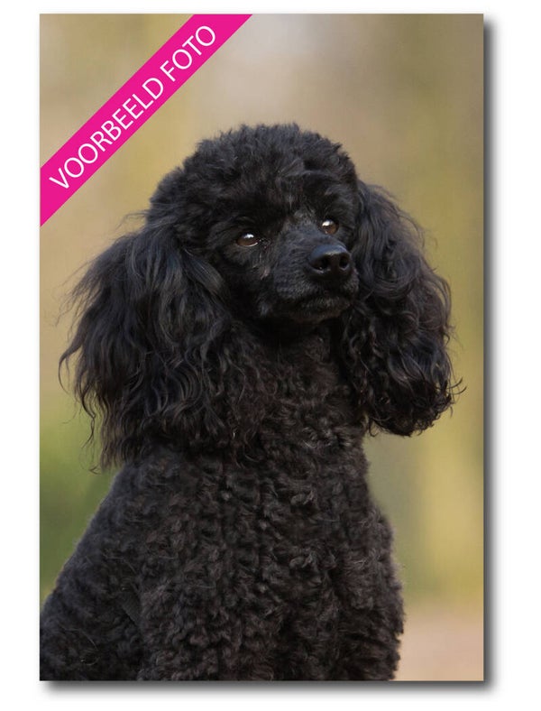 Foto afdruk 15x15 tot 15x22 cm