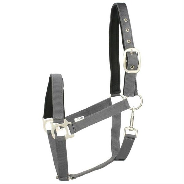 Halster met naam op neus stuk