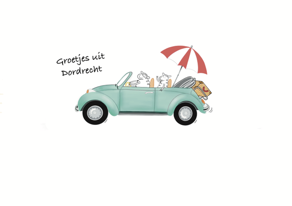 Beker schapen in auto.