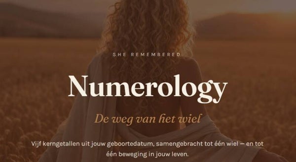 She Remembered Numerology Reading