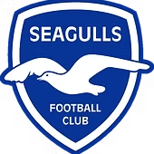 seagulls-standard.png