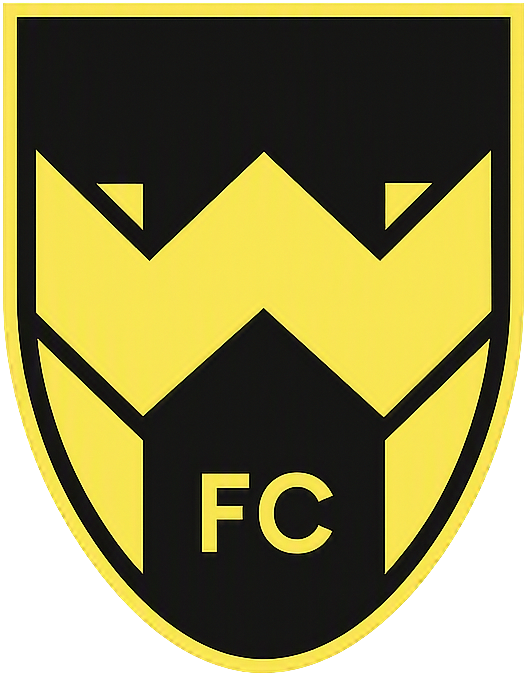 woking-town-standard-k1jkck.png