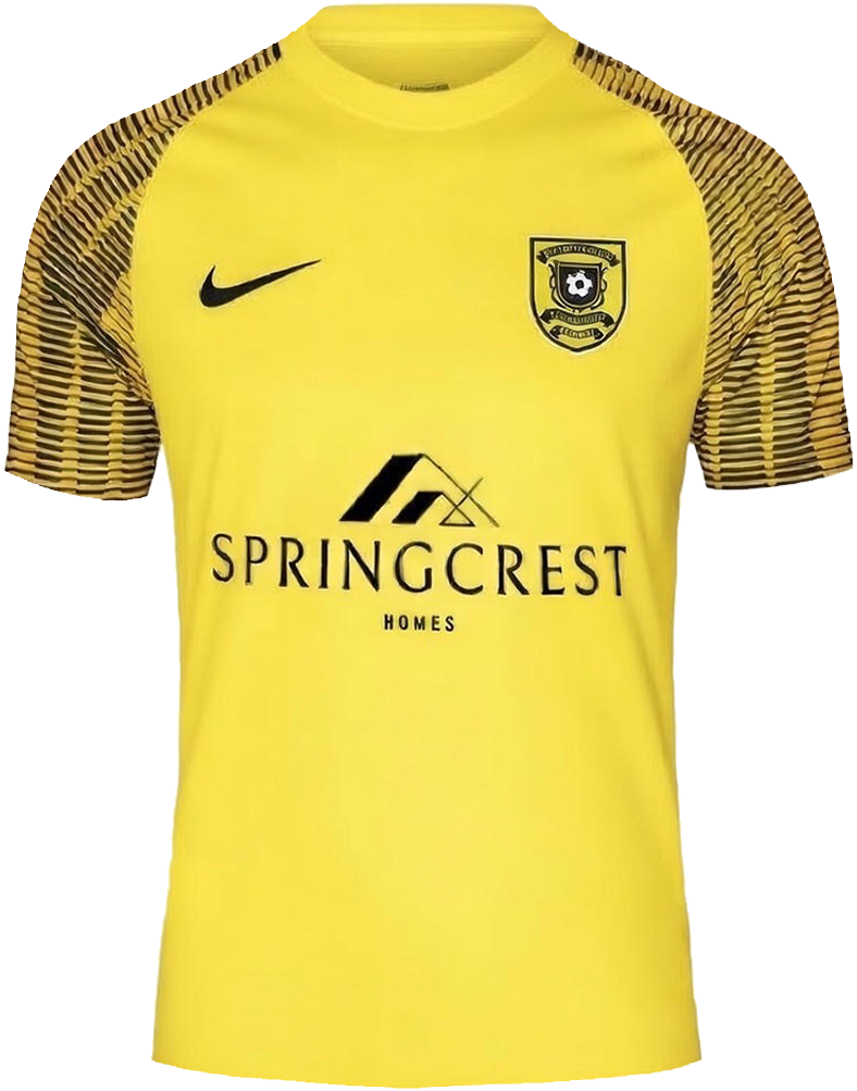 yellow-standard.png