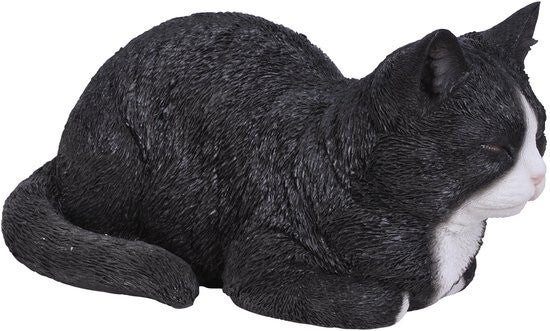 HotAnt - Dromende poes beeld