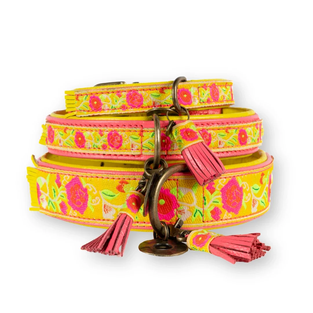 DWAM - Lotus Hondenhalsband