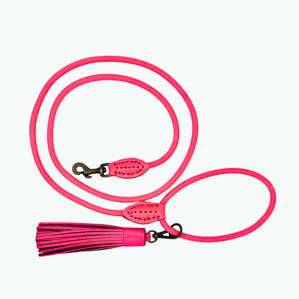 DWAM -  Classic Flamingo Hondenriem