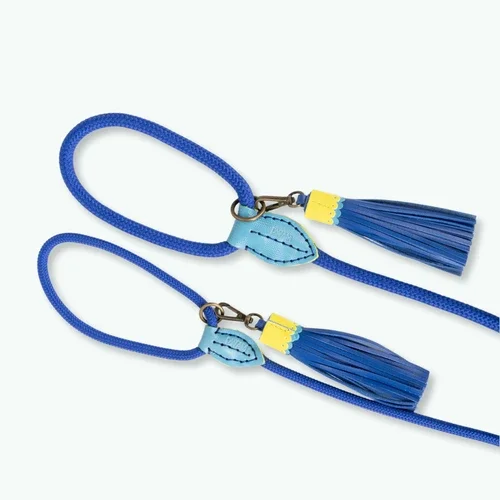 DWAM - Sky Hondenriem