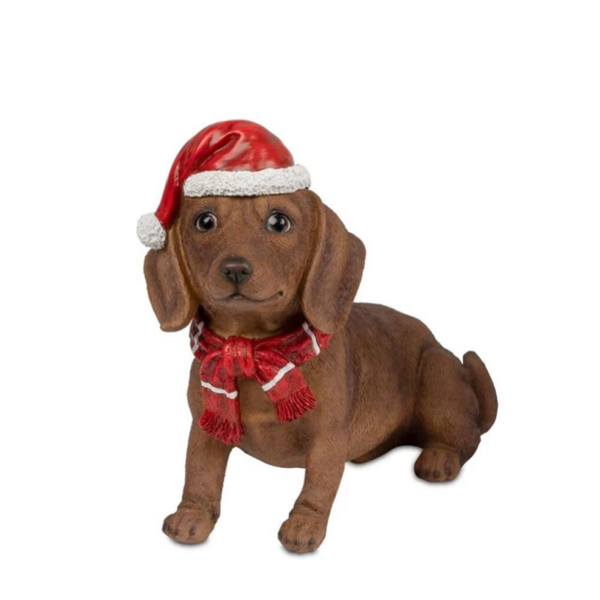 Teckel Bruin met Kerstmuts