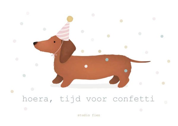 Studio Fien - Tijd voor Confetti