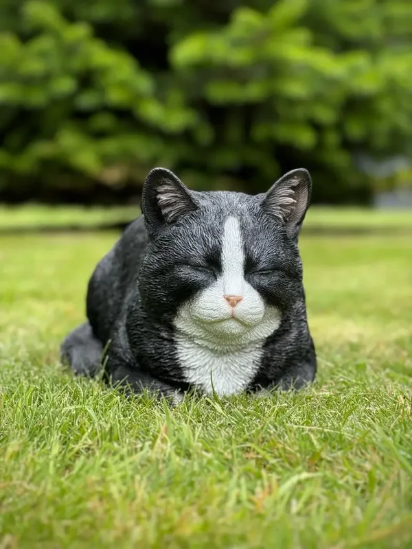 HotAnt - Dromende poes beeld