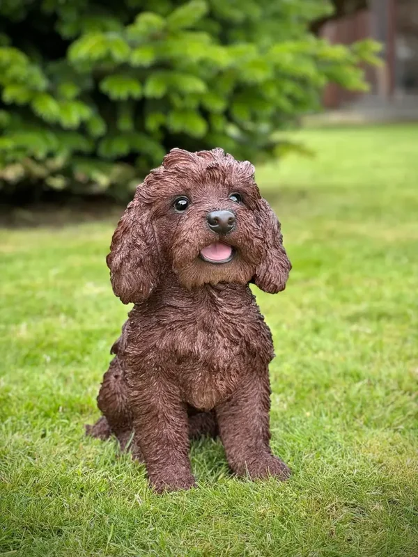 HotAnt - Labradoodle