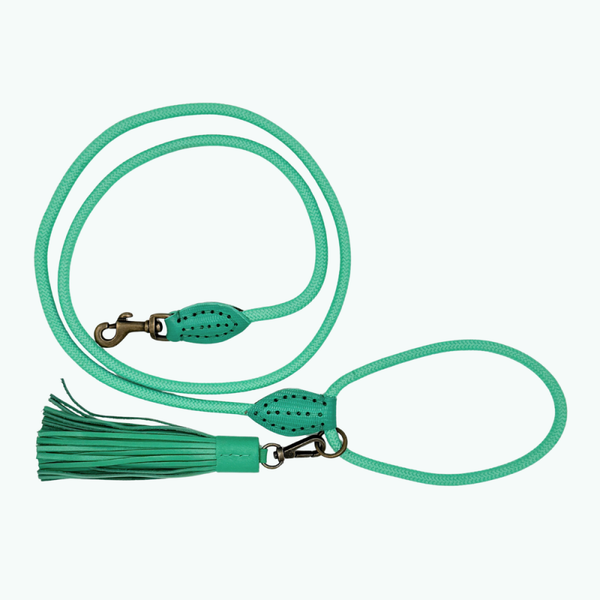 DWAM - Classic Lagoon Hondenriem