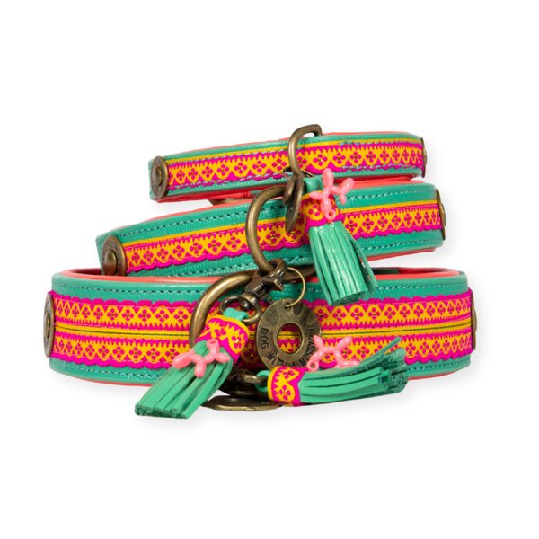 DWAM -  Maui Hondenhalsband