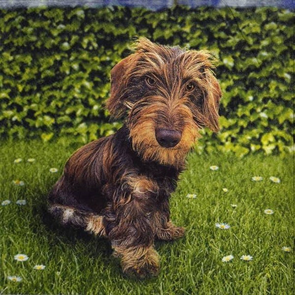 Ambiente - Teckel Toon Servetten