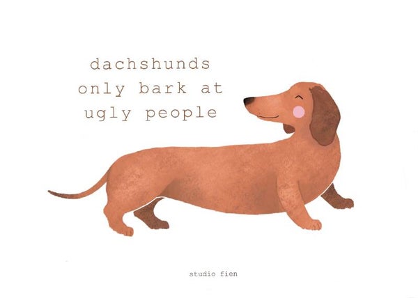 Studio Fien - Dachshunds only bark ugly people