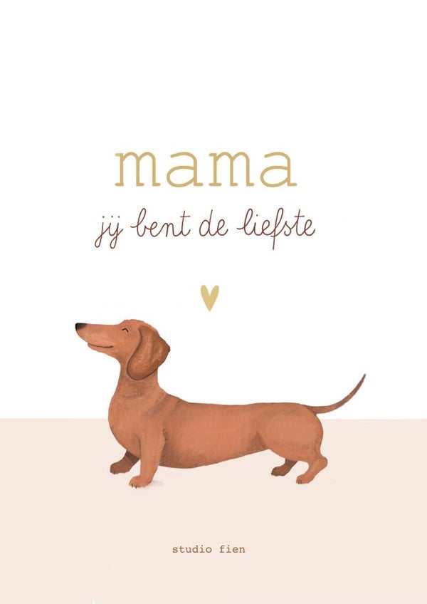 Studio Fien - Mama jij bent de liefste