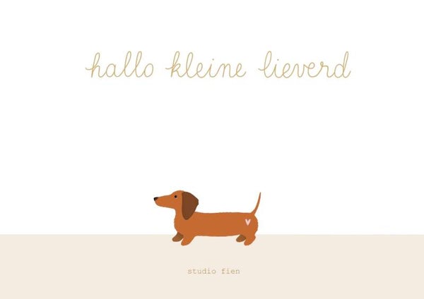 Studio Fien - Hallo kleine lieverd