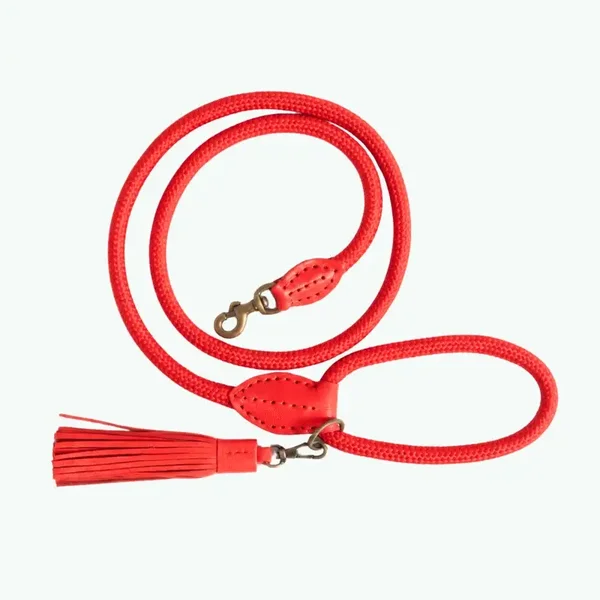 DWAM - Red Velvet Hondenriem