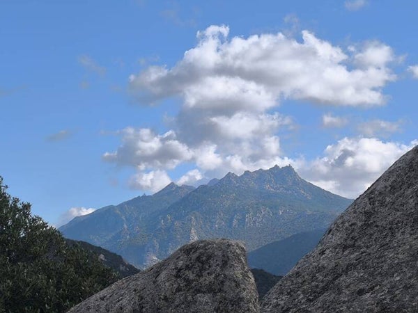 Orii di Monaccia