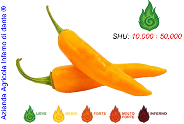 Aji Amarillo