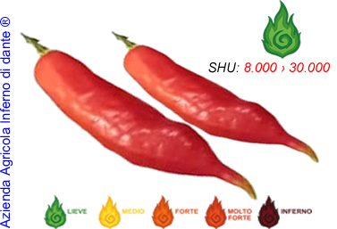 Aji Finlandia
