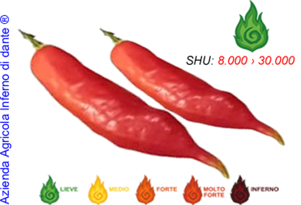 Aji Finlandia
