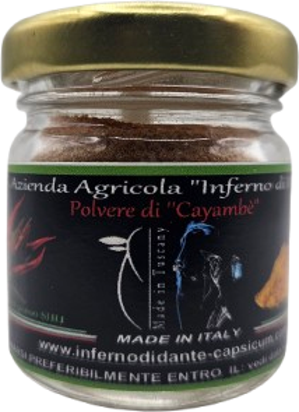 Cayambè