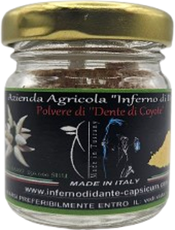 Dente di Coyote