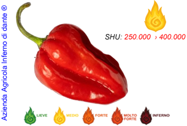Habanero Red