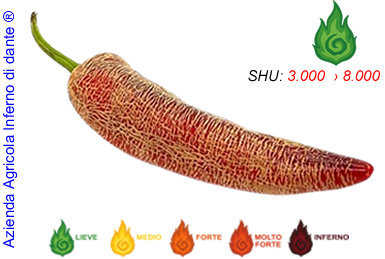 Jalapeño Farmer's Market