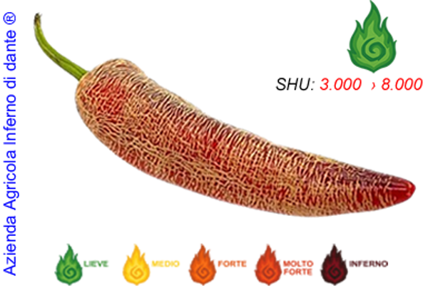 Jalapeño Farmer's Market