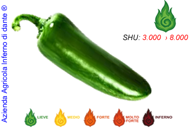 Jalapeño Green