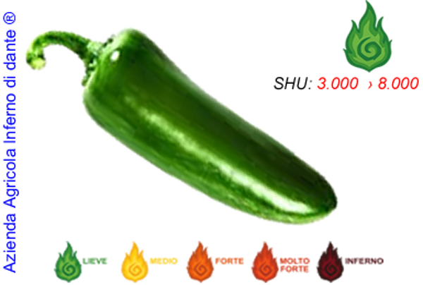 Jalapeño Green