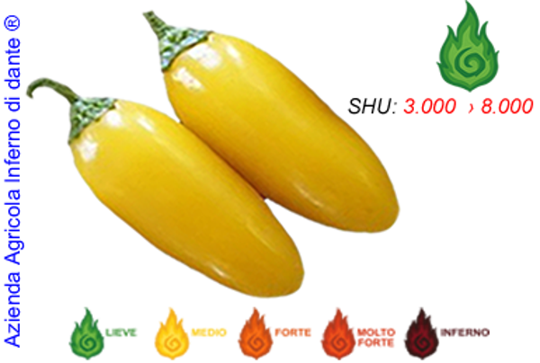 Jalapeño Yellow