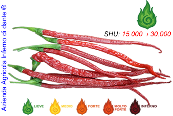 Lazzaretto Abruzzese