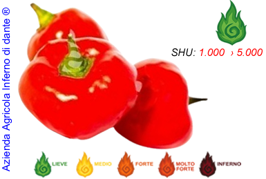 Malawi Peppadew