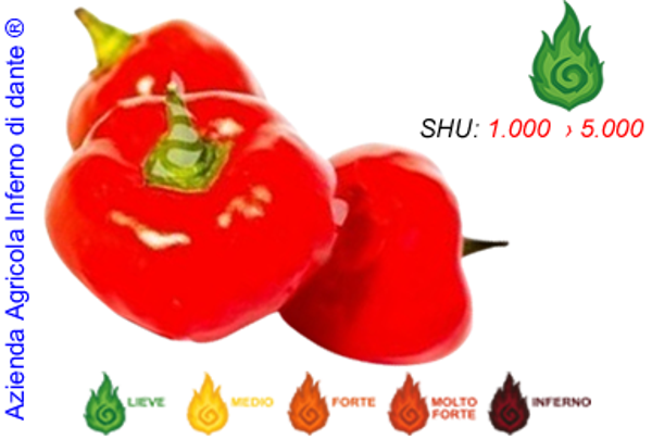 Malawi Peppadew