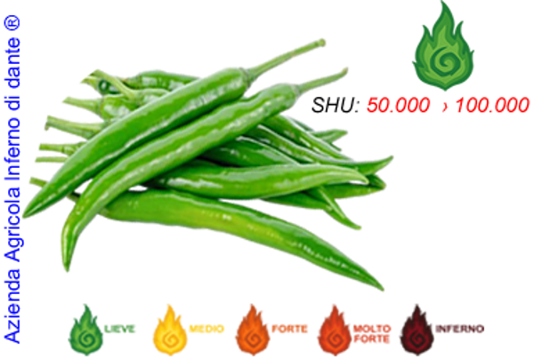 Thai Green