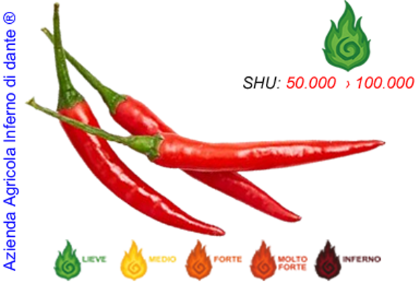 Thai Red
