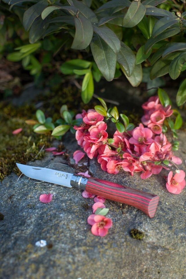 N°08 Bouleau Lamellé Rouge