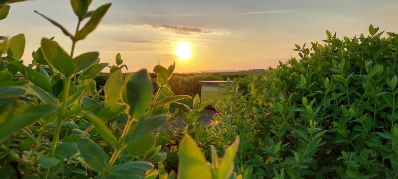 Natuurgebieden in Polen - Pure Honey
